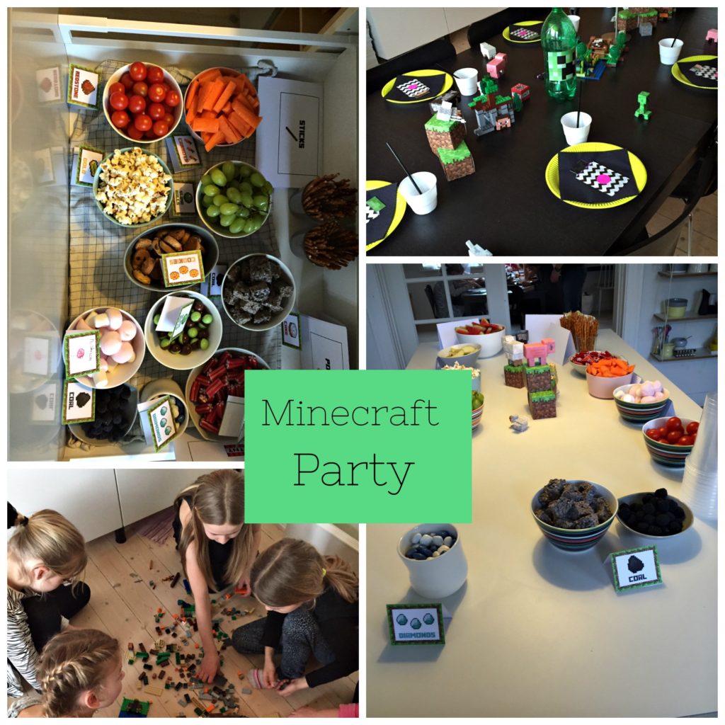 Minecraft party