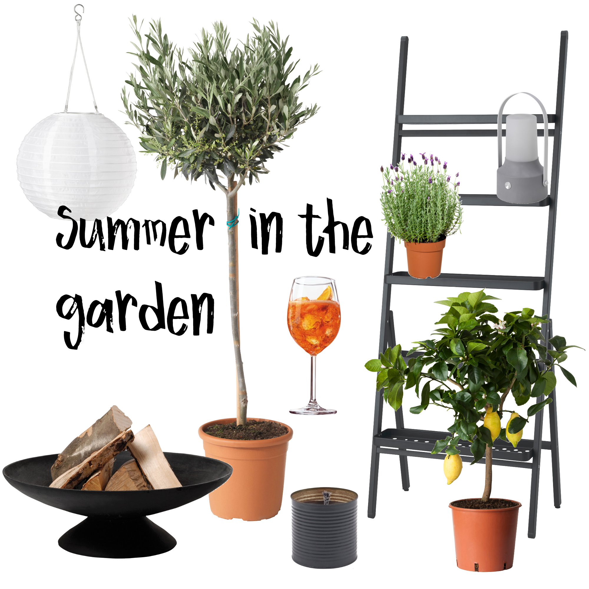 Summer in the garden